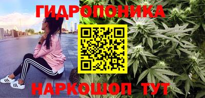apvp Тулун