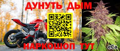 apvp Тулун