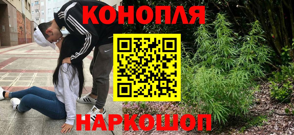 Бошки Шишки THC 21% Нальчик
